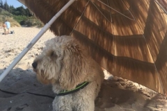 37789533_642988569406763_1711787833187893248_n