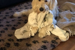 46506154_10217501389511853_2565281329067327488_n