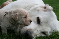 1621-34-1_05072011111312