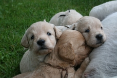 1622-34-1_05072011111314