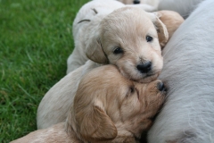 1624-34-1_05072011111317