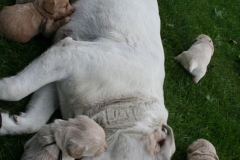 1625-34-1_05072011111319