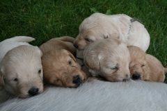 1630-34-1_05072011111328