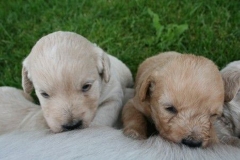 1633-34-1_05072011111333