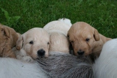 1634-34-1_05072011111333