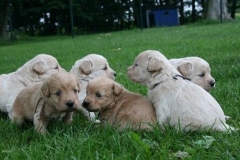 1641-34-1_05072011111333