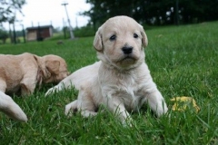 1642-34-1_05072011111333