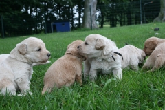 1645-34-1_05072011111333