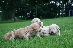 1648-34-1_05072011111335