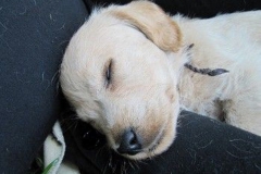 1676-34-1_27072011164854