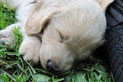 1677-34-1_27072011164854