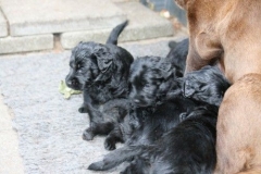 3133-47-1_13062012161651