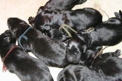 3883-61-1_01042013114914