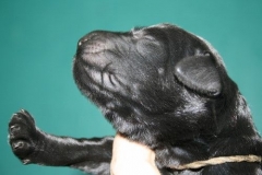 3885-61-1_01042013114914