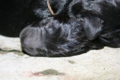 3886-61-1_01042013114914