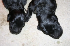 3888-61-1_01042013114914