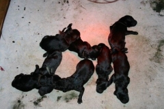 3889-61-1_01042013114914