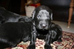 3940-64-1_20042013103140