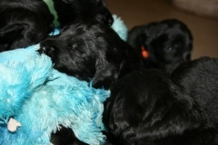 3941-64-1_20042013103141