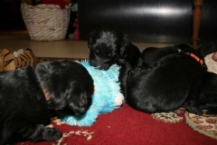 3948-64-1_20042013103141