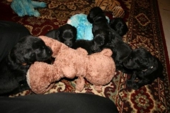 3960-64-1_20042013103142