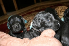 3961-64-1_20042013103142