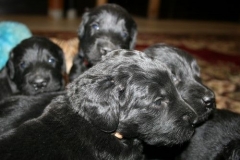 3963-64-1_20042013103142