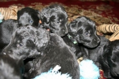 3965-64-1_20042013103142