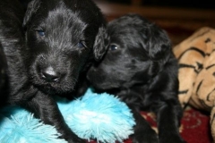 3967-64-1_20042013103142