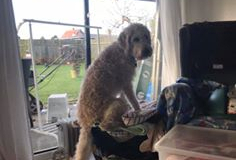 71513169_10157141293929902_6390949888074448896_n