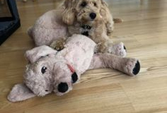 72481974_770304186756163_8305560821602189312_n