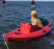 72780452_10158069066816495_6915827460382654464_n