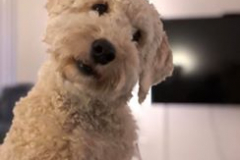 72886207_2796745890338303_2854334045427335168_n