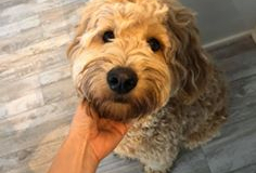 72900248_10156363357451816_4878889475943432192_n