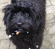 73008850_10218680544180284_8857433727949602816_n