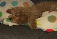 74495615_10218616377355017_7215399234550366208_n