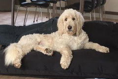 74662448_10220303660924471_2439693315646423040_n