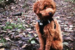 74692506_10219322705434834_4443256715546198016_n