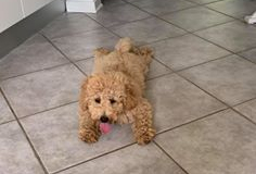 75033049_1332559313582546_6284249534503583744_n