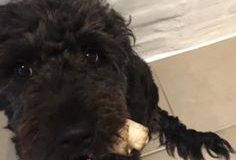 75241207_2777781052266649_1150315103703269376_n