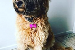 75380027_10214312648111023_2712308234386931712_n