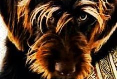 75380095_10219293137817383_4473567614014062592_n