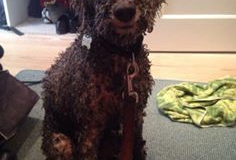 75542207_2371002286485126_9007482602323443712_n