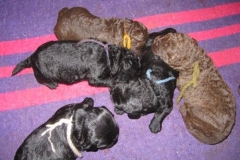 3991-66-1_09052013170910