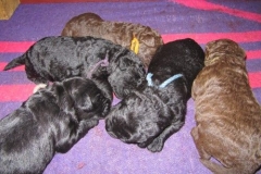 3992-66-1_09052013170910