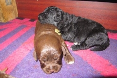 3993-66-1_09052013170910