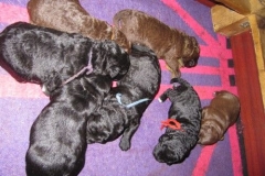 3996-66-1_09052013170911