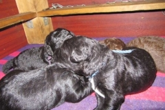 4000-66-1_09052013170911