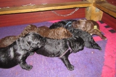 4005-66-1_09052013170911