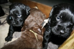 4024-66-1_23052013211913